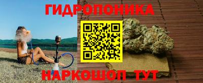 эйфоретик Гай