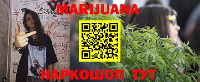 прущие крисы Гатчина